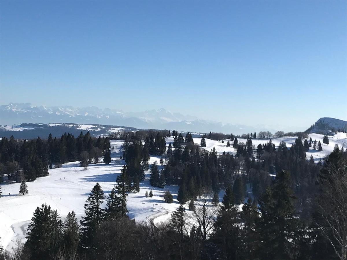 Chalet De La Baume La Chatelaine Екстериор снимка